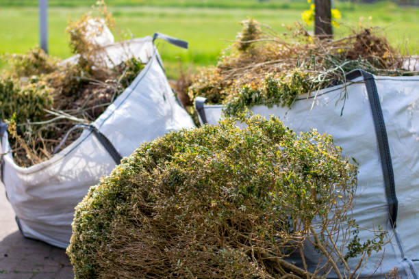 Best Office Junk Removal  in Clyde, OH